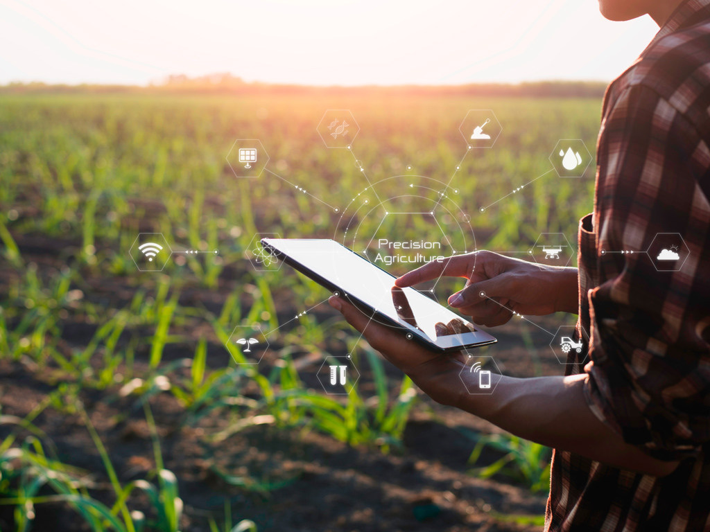 Agricultura de Precisão na produção de cana