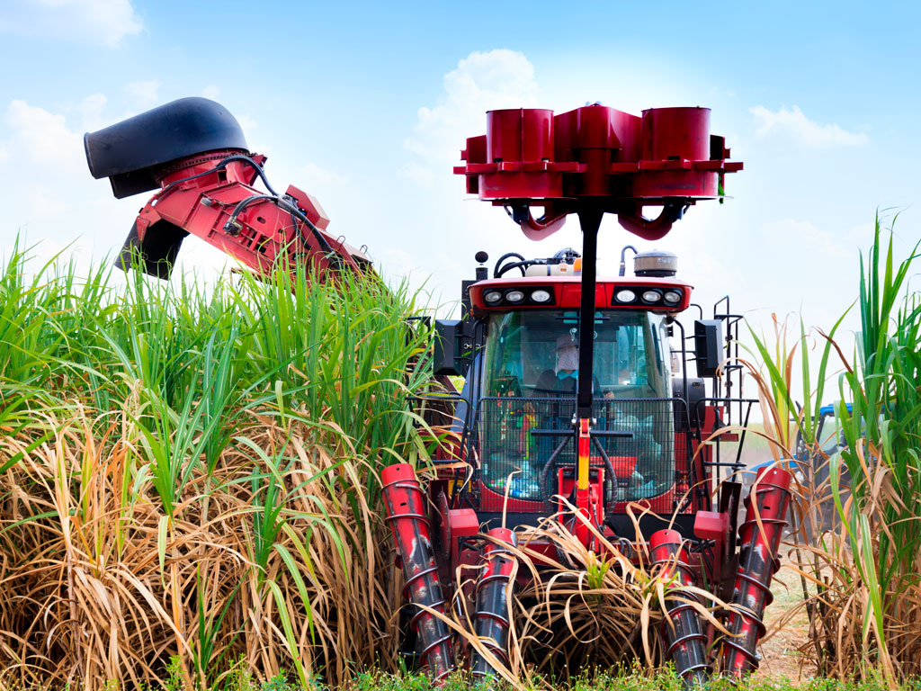 5 dicas para produtividade da colheita de cana mecanizada