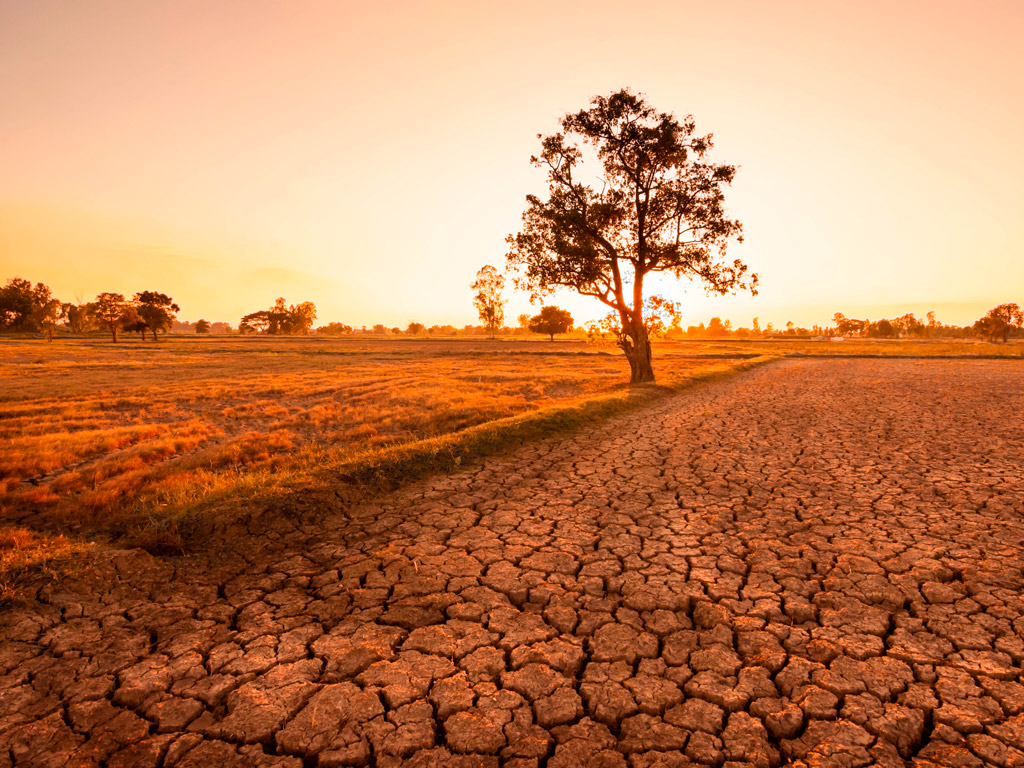 El Niño e La Niña e seus impactos para cana e grãos