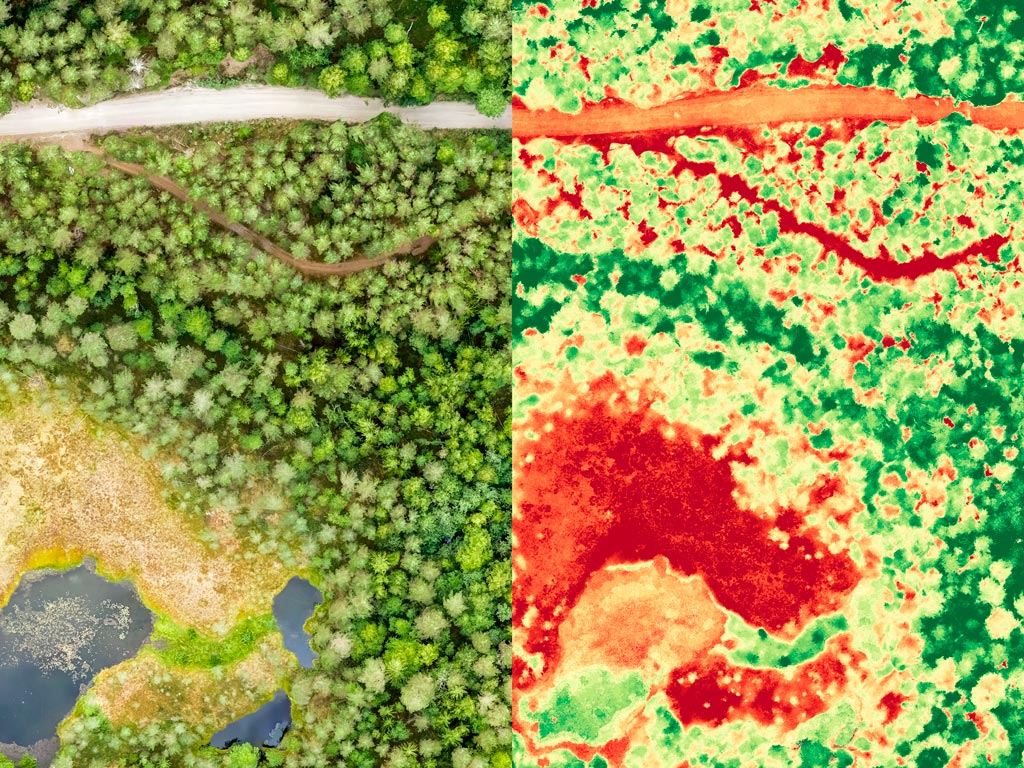 Imagens de satélite NDVI na agricultura: Veja os benefícios
