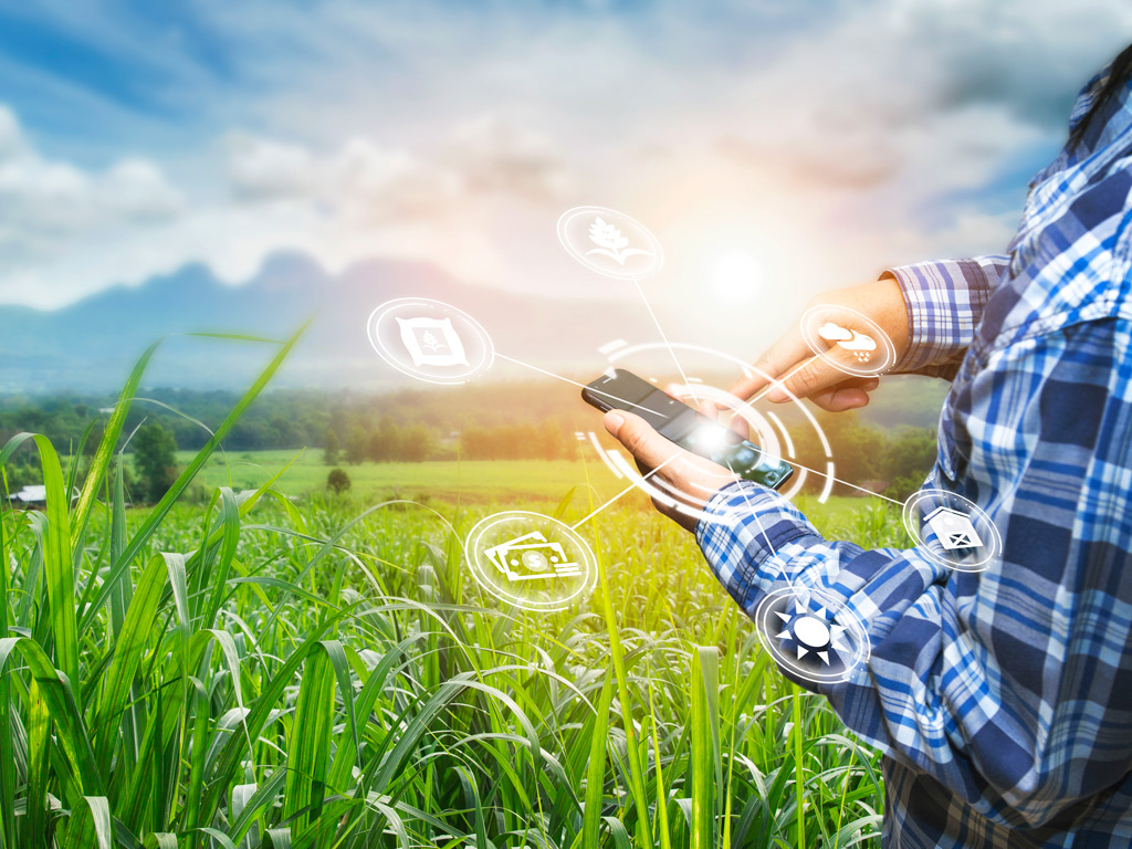 Era da agricultura 4.0 e seus impactos na cana-de-açúcar