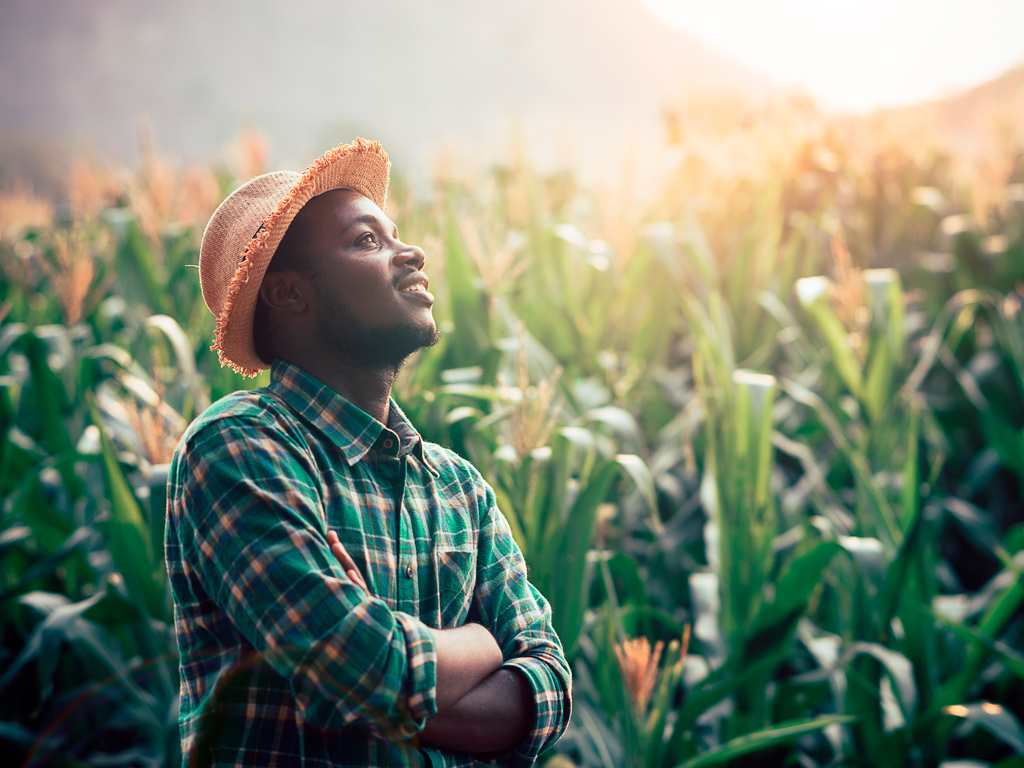 Previsão do tempo amanhã: fontes seguras para o agronegócio