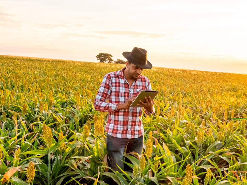 Estudo de Caso: tomada de decisão com um software agrícola