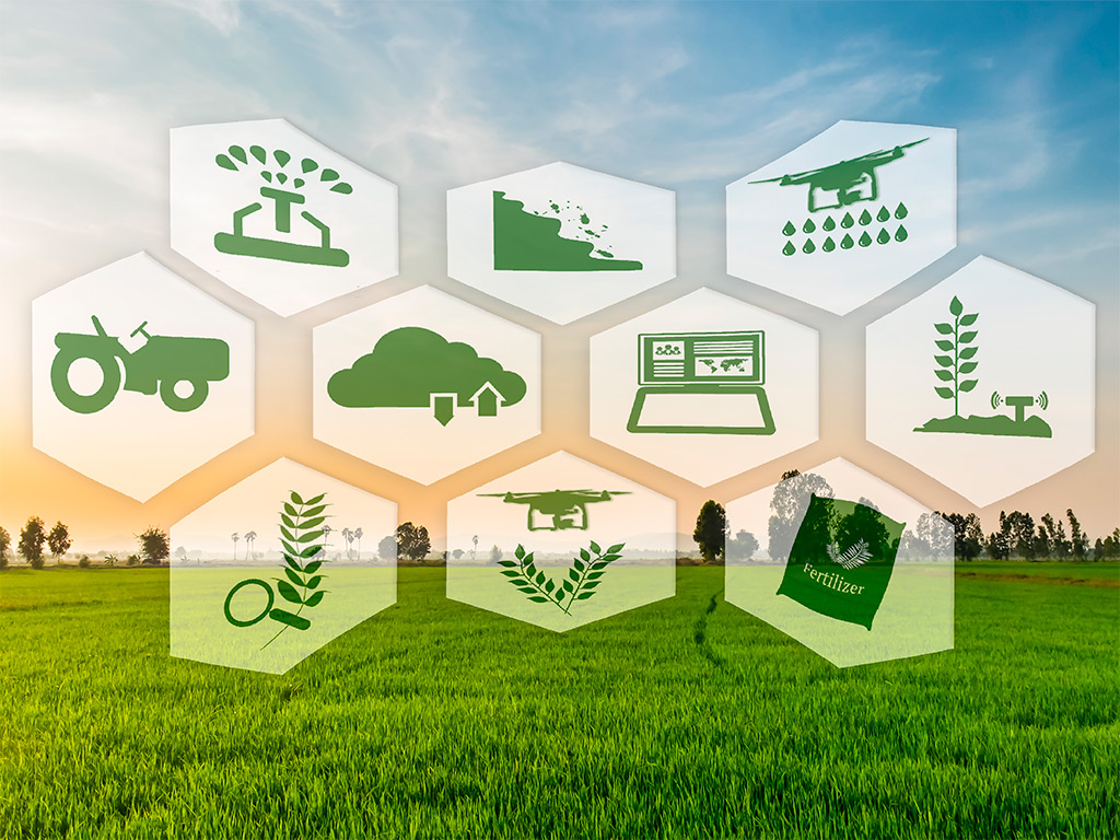 Administração Rural e Tecnologia: Dicas para inovar a gestão