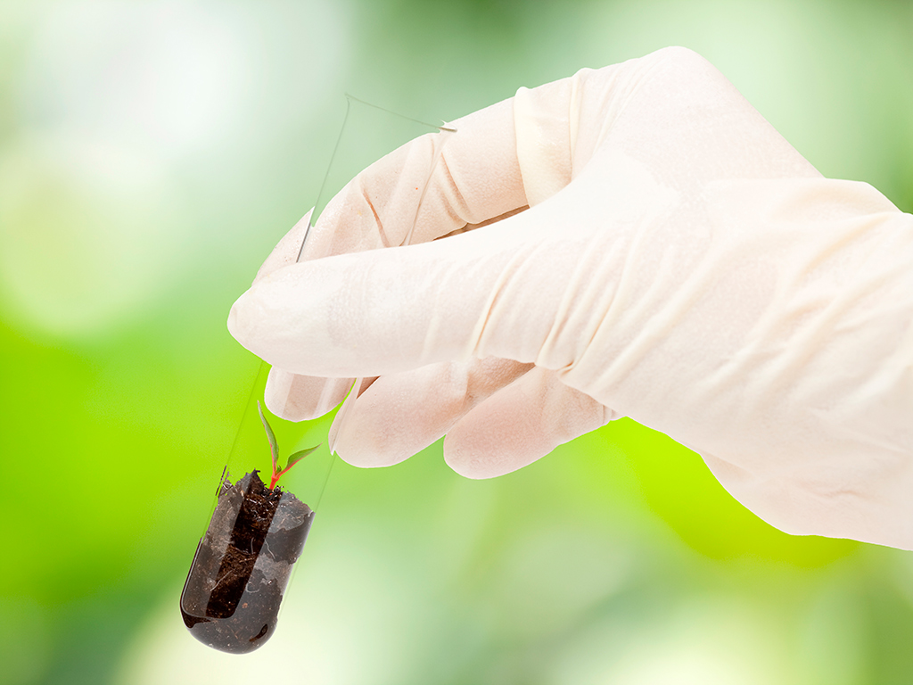 Análise de Solo: como garantir uma adubação mais efetiva