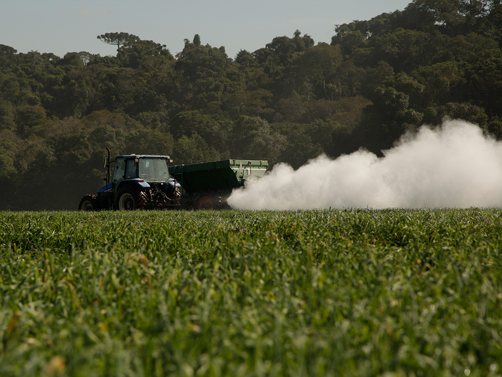 Tudo o que você precisa saber sobre calagem