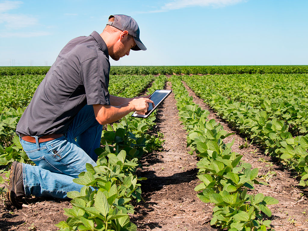 Agricultura digital: vale a pena investir nessa tendência?
