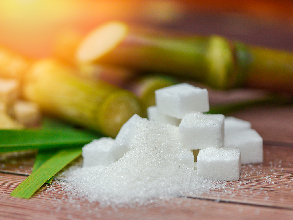 Mercado de açúcar: o amparo aos produtores de cana!