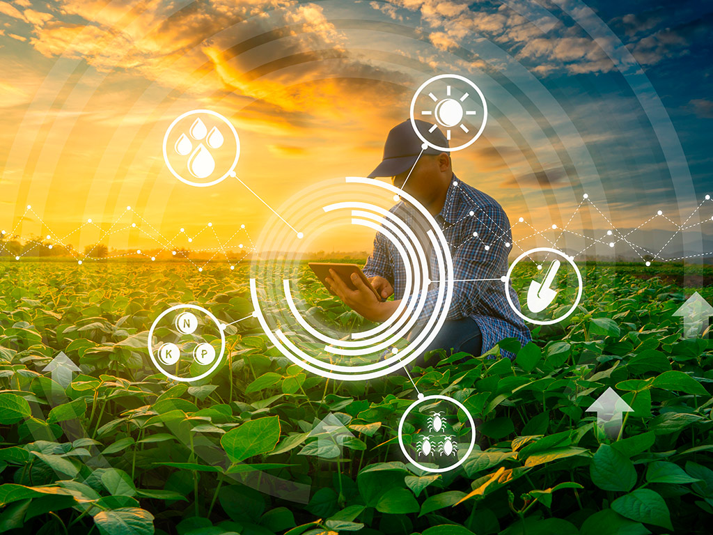 Manejo de Precisão: Sistema de plantio direto e tecnologias