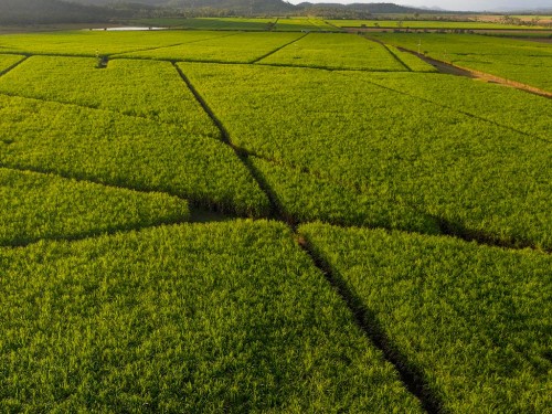 CHBAGRO faz a diferença na gestão da Fazenda Boa Esperança