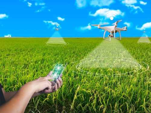 Manejo Integrado de Pragas (MIP) e Gestão Agrícola Eficiente