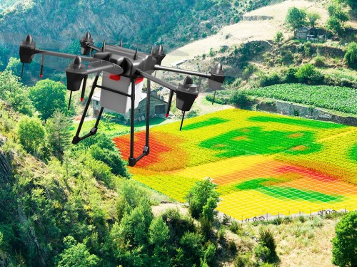 NDVI: o que é e como usar para beneficiar a sua fazenda