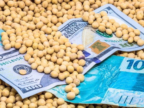 Produtores já estão vendendo a soja que será colhida em 2022