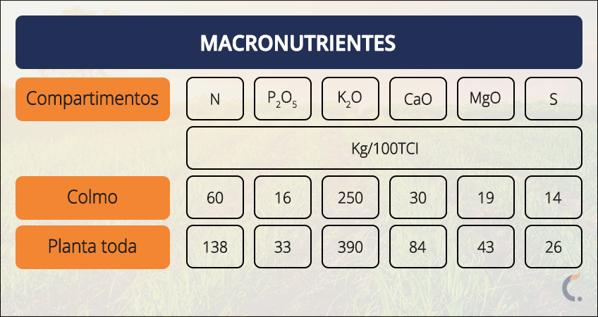 Macronutrientes da Cana