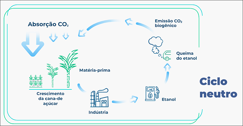 Ciclo Neutro da Cana-de-Açúcar Ciclo Neutro da Cana-de-Açúcar