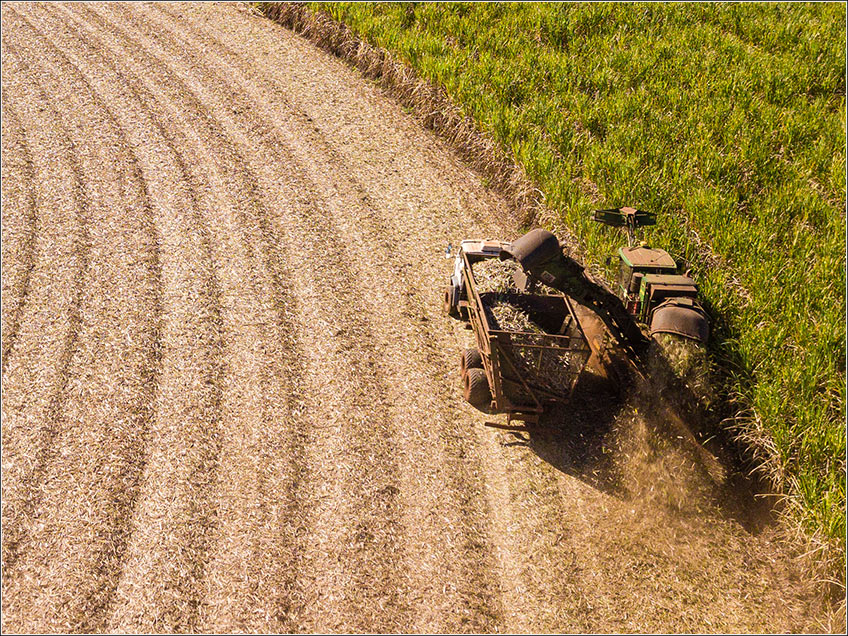 Custo Agrícola da Colheita da Cana-de-Açúcar