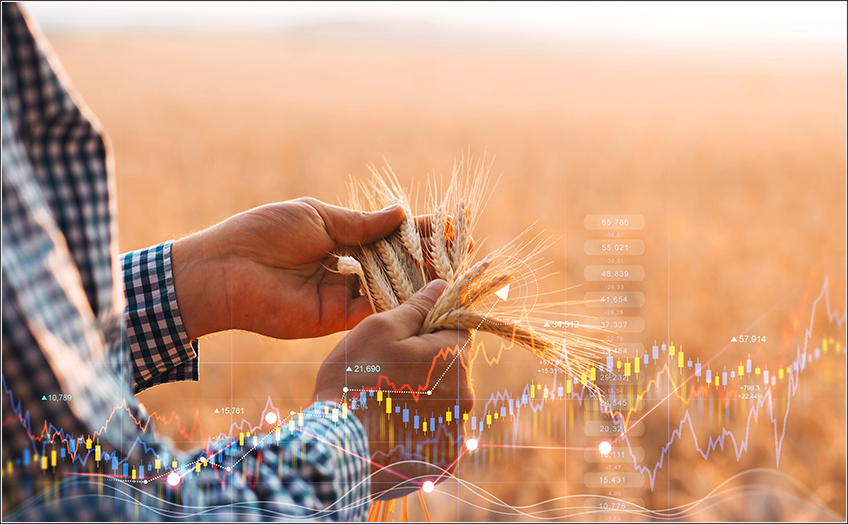 Custo Agrícola para Grãos Custo Agrícola para Grãos