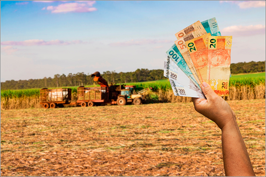 Despesas na Colheita da Cana-de-Açúcar Despesas na Colheita da Cana-de-Açúcar