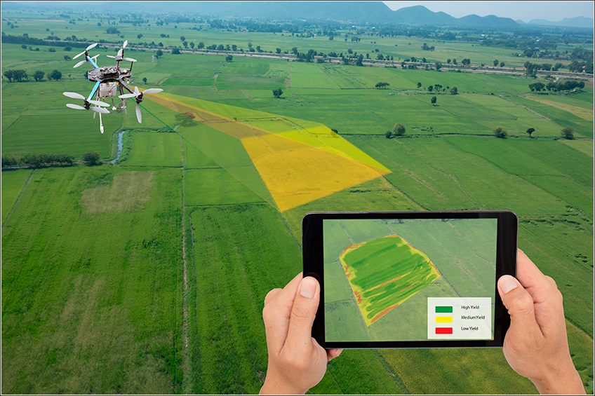 Drone na Fazenda