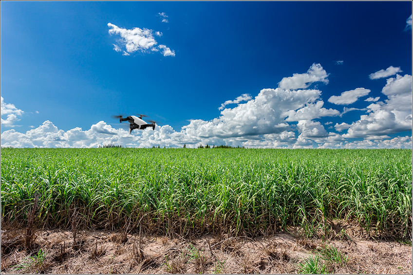 Drone na Fazenda de Cana