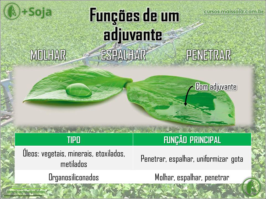 Funções de um Adjuvante Funções de um Adjuvante