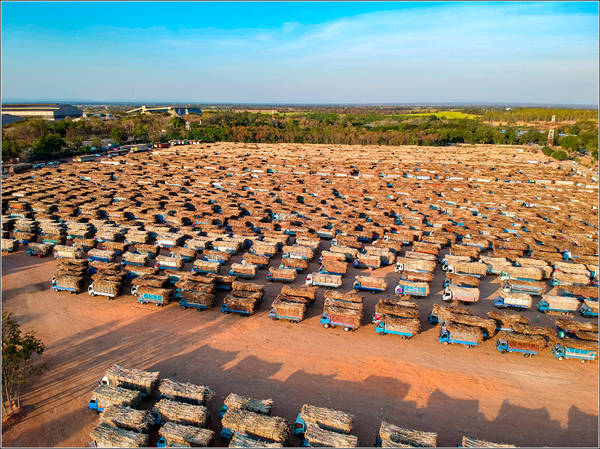 Cadeia de Suprimentos e Insumos da Fazenda Cadeia de Suprimentos e Insumos da Fazenda