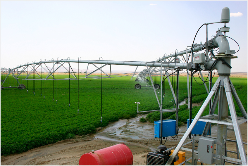 Sensor para Irrigação no Campo Sensor para Irrigação no Campo