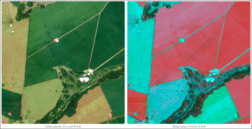 Mapas NDVI