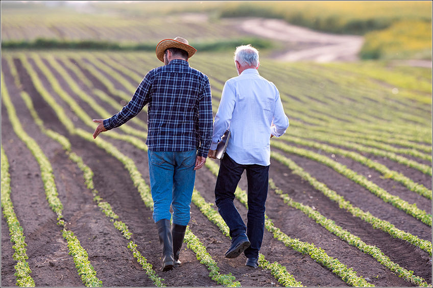Negociação da Soja Negociação da Soja