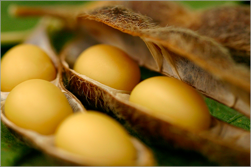 Preço da Soja Preço da Soja