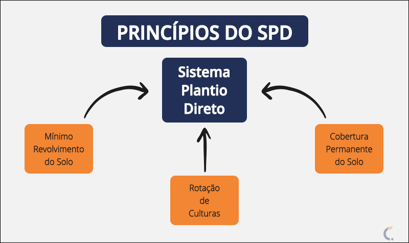 Princípios do Sistema de Plantio Direto Princípios do Sistema de Plantio Direto