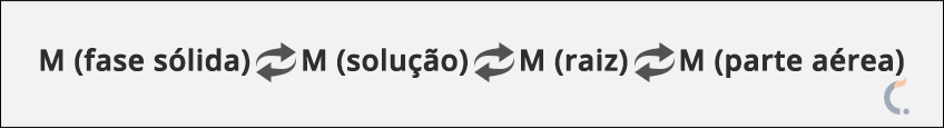 Absorção dos Nutrientes Absorção dos Nutrientes
