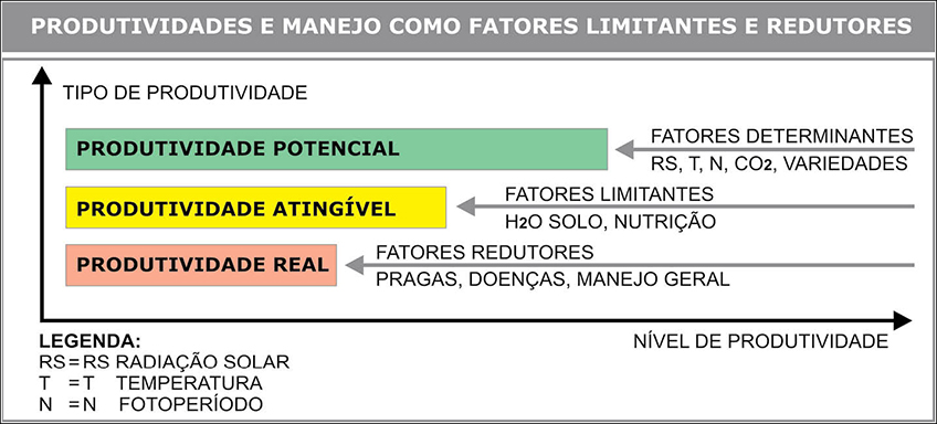 Produtividade e Manejo como Fatores Limitantes e Redutores da Cana Produtividade e Manejo como Fatores Limitantes e Redutores da Cana