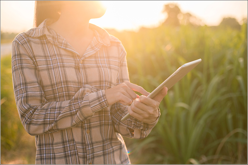 Software Agrícola para Cana-de-Açúcar
