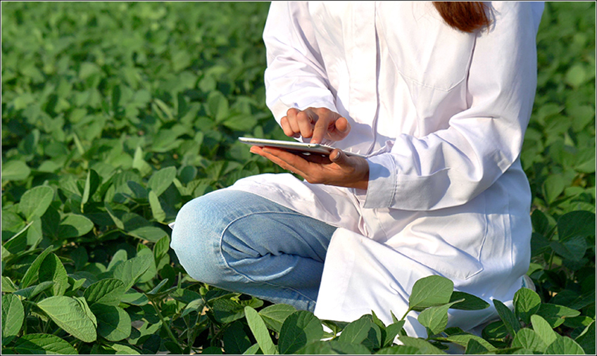 Software Agrícola para Controle de Bioinsumos Software Agrícola para Controle de Bioinsumos