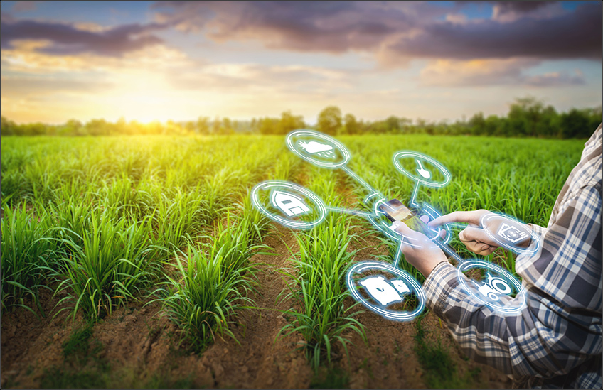 Custo Agrícola para Cana-de-Açúcar Custo Agrícola para Cana-de-Açúcar